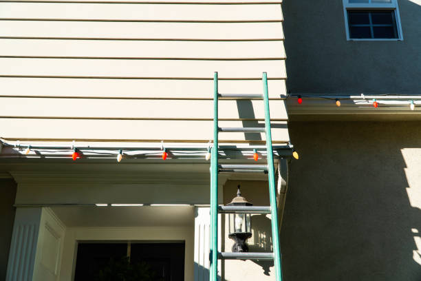 Best Stucco Siding  in Palo, IA